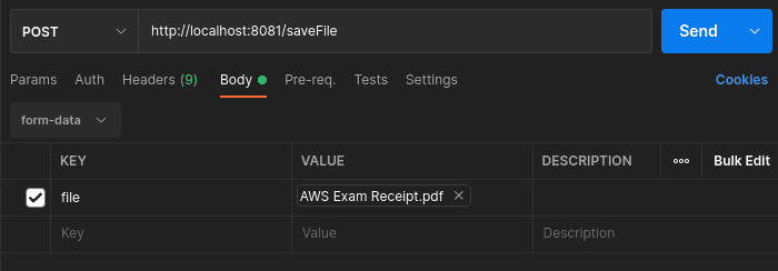 Send File Postman